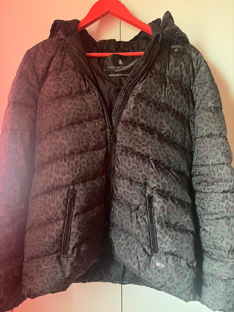 Maison Scotch jas met luipaardprint zwart/bordeaux, Ophalen of Verzenden, Zo goed als nieuw, Maat 38/40 (M), Overige kleuren