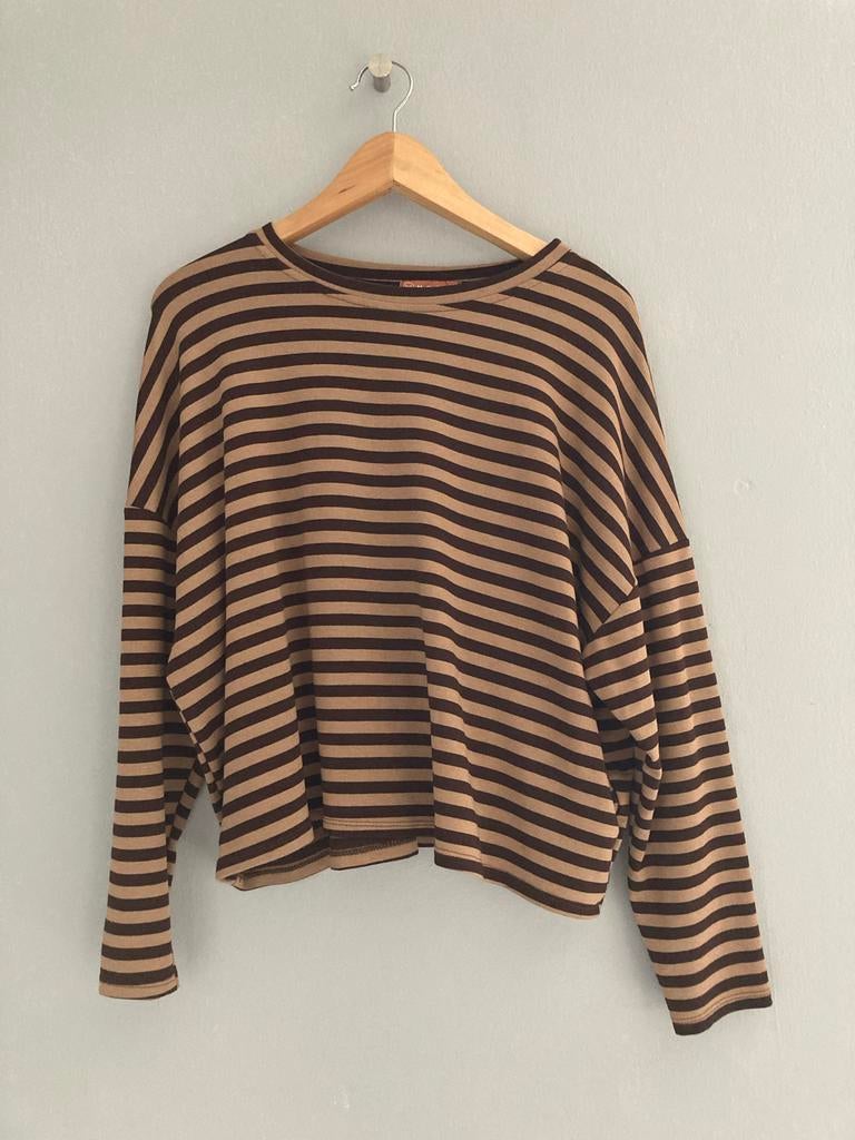 Comfortabele gestreepte longsleeve in bruin/beige, Maat 38/40 (M), Bruin, Verzenden, Lange mouw
