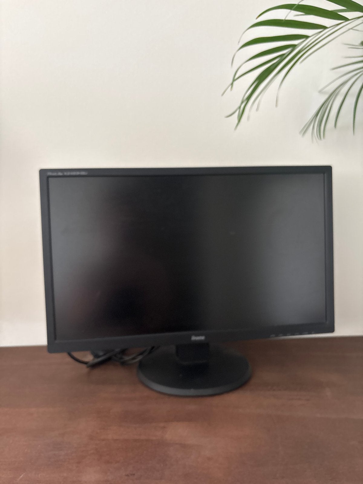 Iiyama ProLite PL2483H monitor, Gebruikt, 3 tot 5 ms, VA, Ophalen of Verzenden