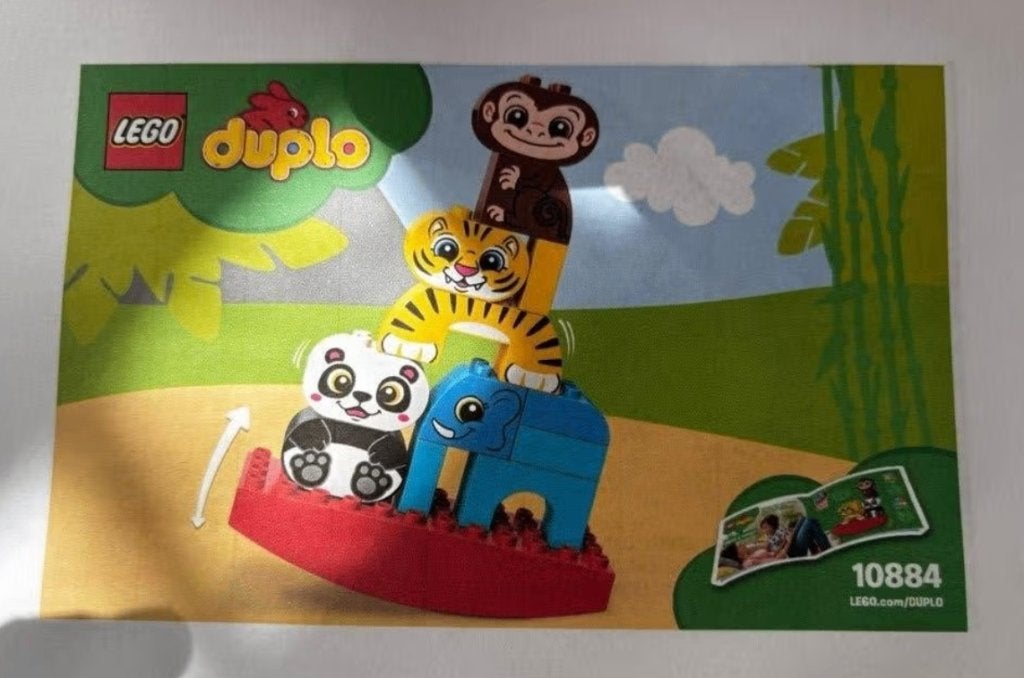 Duplo mijn eerste balancerende dieren (10884), Overige thema's, Inclusief instructies, Ophalen of Verzenden, Zo goed als nieuw