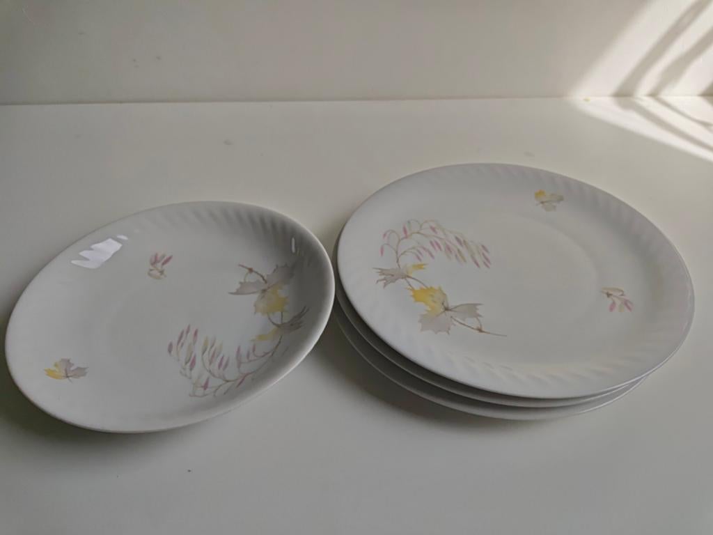Hutschenreuther Arzberg Bavaria borden met bloemmotief, Gebruikt, Ophalen of Verzenden, Bord(en), Overige stijlen