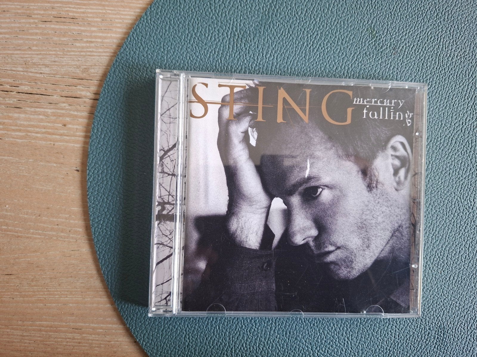 sting mercury falling album, Ophalen of Verzenden, Album