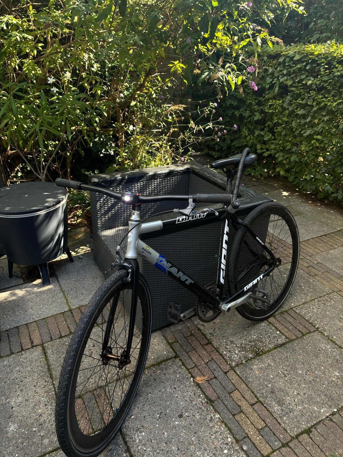 Zelfbouw Fixie Lookalike met Freewheel en Ergon/Ergotec onde, Ophalen of Verzenden, Gebruikt, Velgrem, Giant