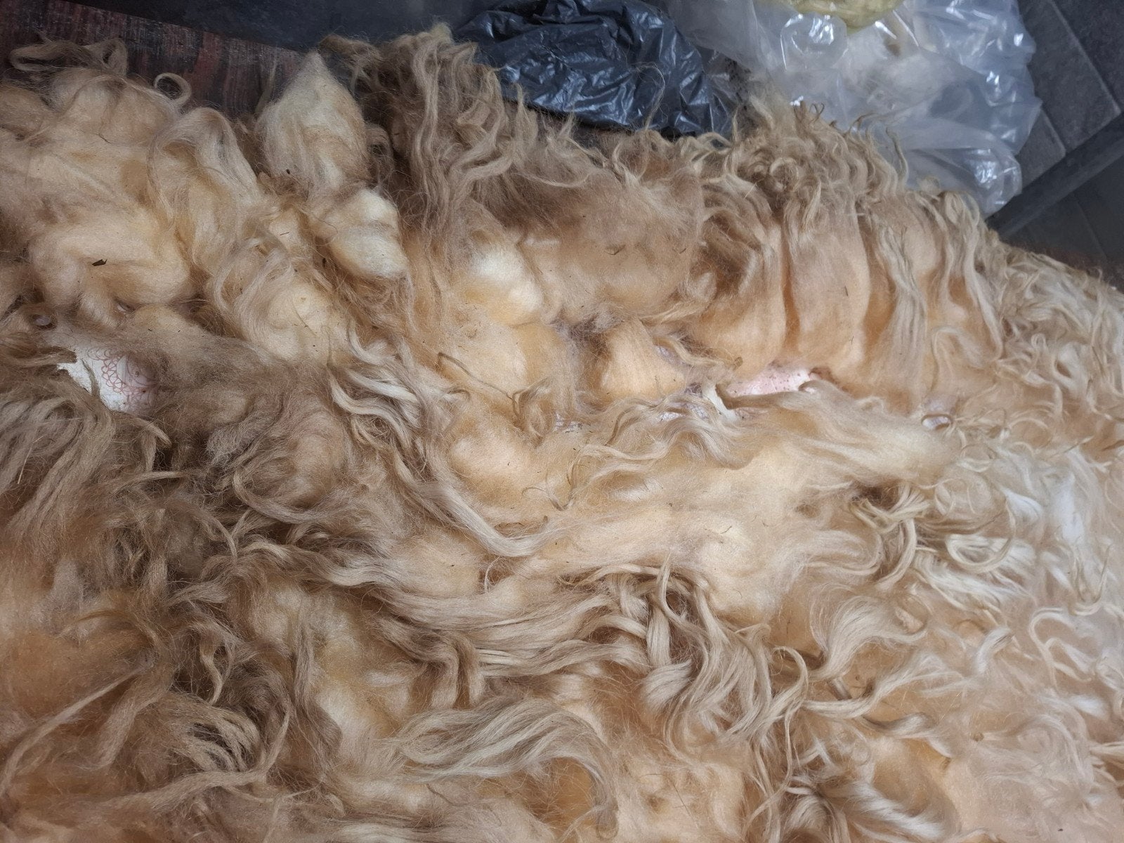 losse vacht Schoonebeker/Heideschaap, Ophalen of Verzenden, Nieuw, Spinwol