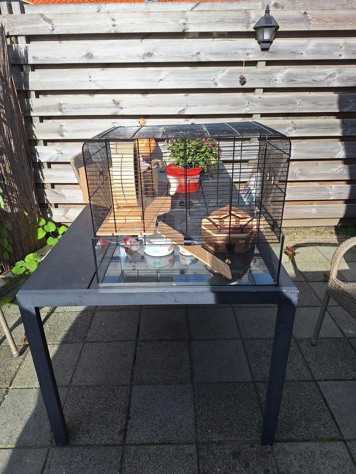 hamsterkooi, Ophalen of Verzenden