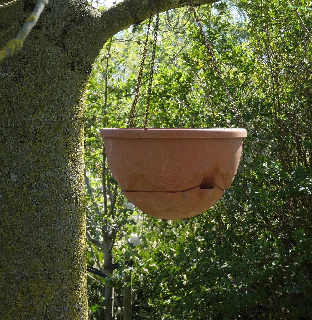8x hanging baskets - hangende bloembakken, Tuin en Terras, Bloembakken en Plantenbakken, Ophalen, Kunststof, Gebruikt, Minder dan 30 cm