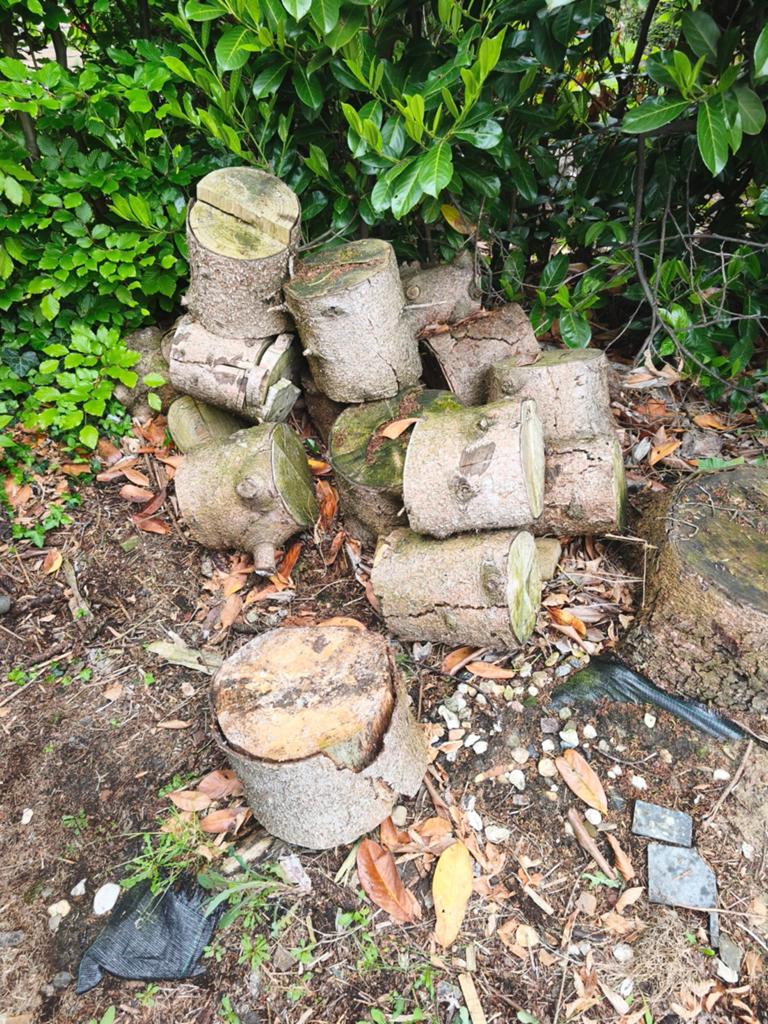Hout van spar, Tuin en Terras, Minder dan 3 m³, Ophalen