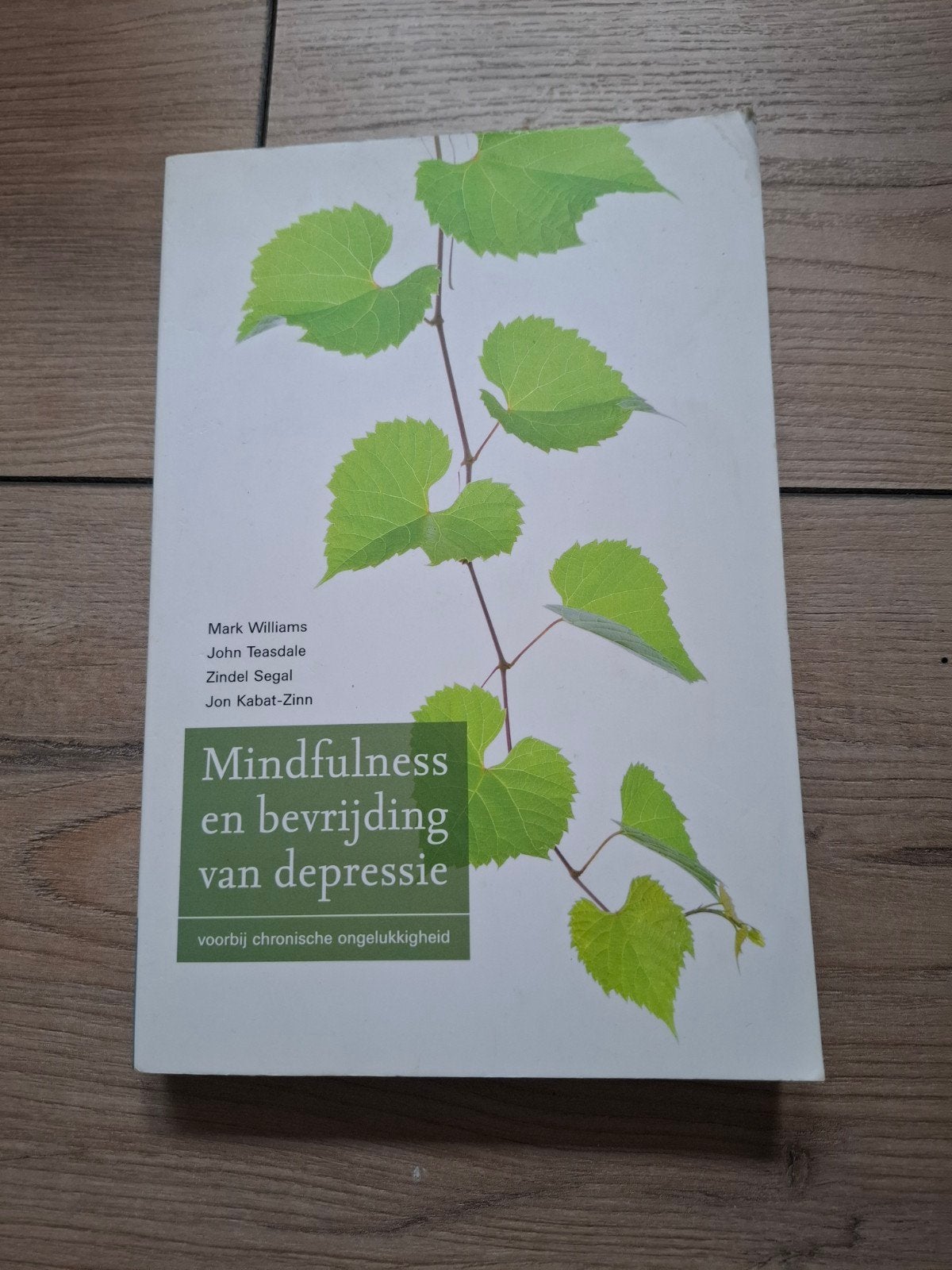 Mark Williams - Mindfulness en bevrijding van depressie, Boeken, Ophalen of Verzenden, Zo goed als nieuw, Mark Williams