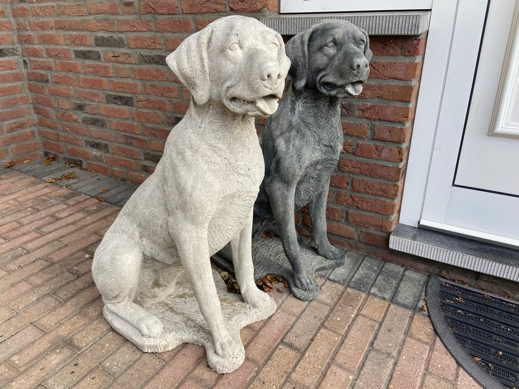 Labrador Retriever , Hoogte 85 cm of Engelse Jachthond, Ophalen, Nieuw, Beton, Dierenbeeld
