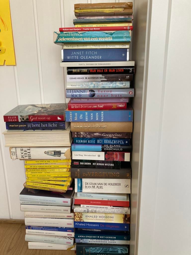 Diverse boeken, Ophalen of Verzenden, Gelezen, Diverse auteurs