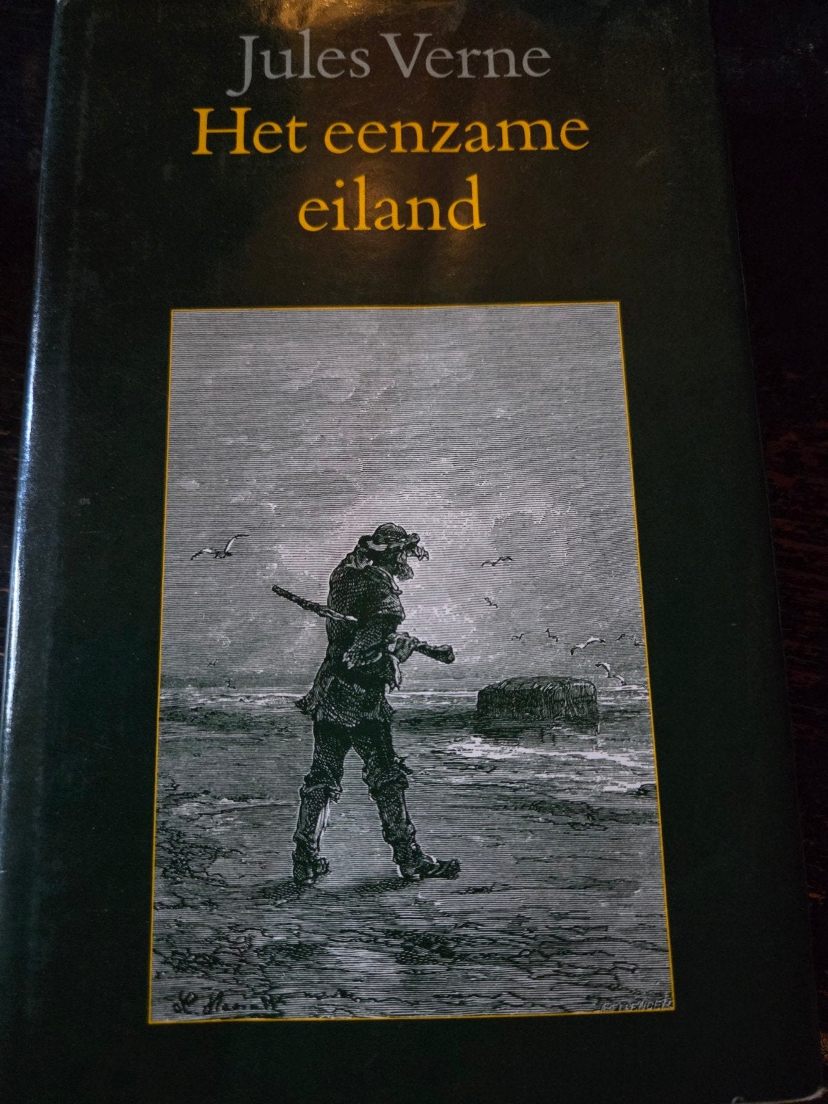 Het eenzame eiland, Ophalen of Verzenden, Zo goed als nieuw, Noord-Brabant