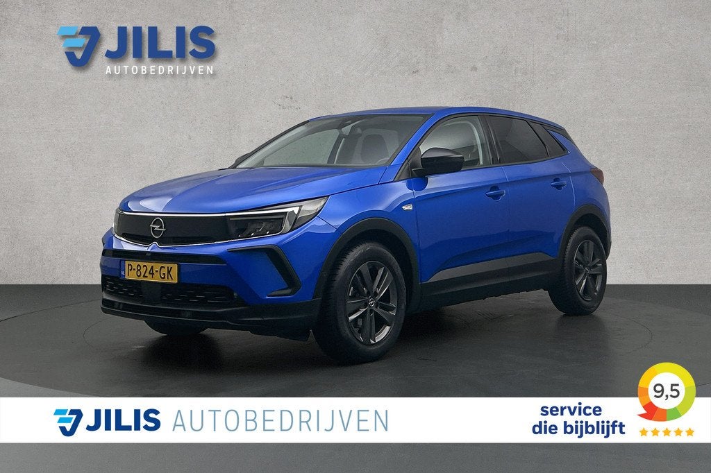 Opel Grandland X 1.2 Turbo Business Edition | Camera | LED k, Auto's, Opel, Bedrijf, Te koop, Grandland X, ABS, Achteruitrijcamera