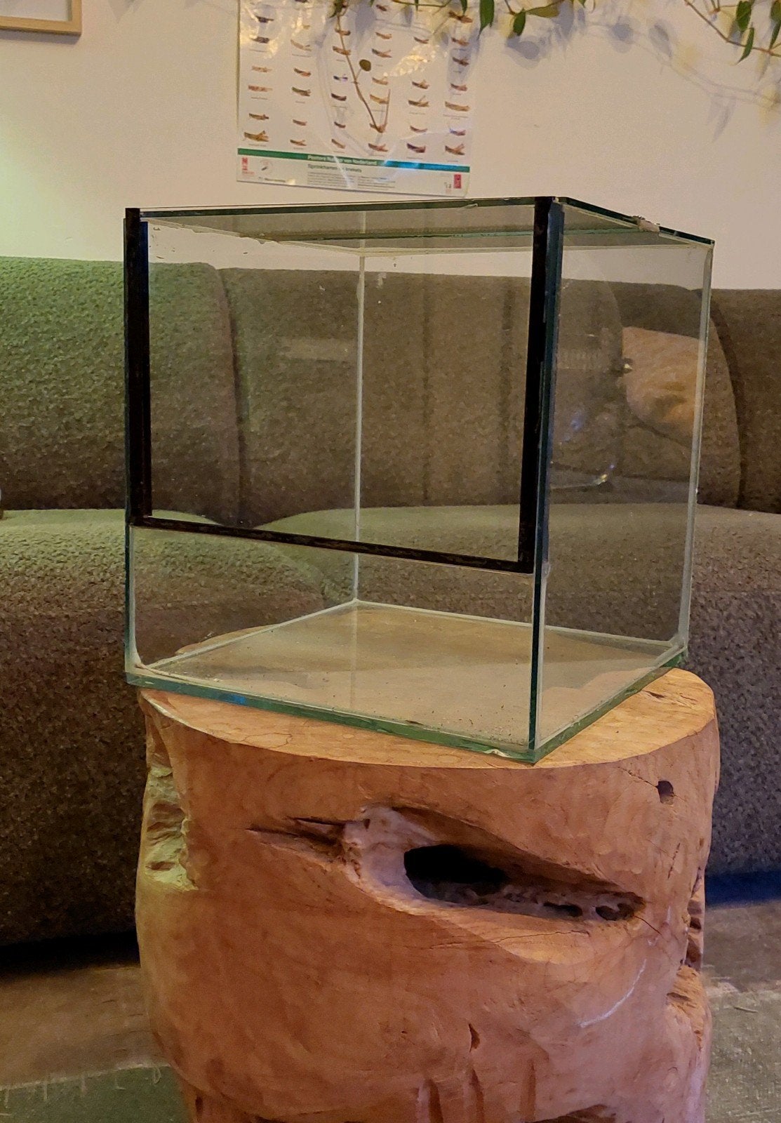 Terrarium 30x30x30, Dieren en Toebehoren, Ophalen, Gebruikt, Terrarium of Paludarium