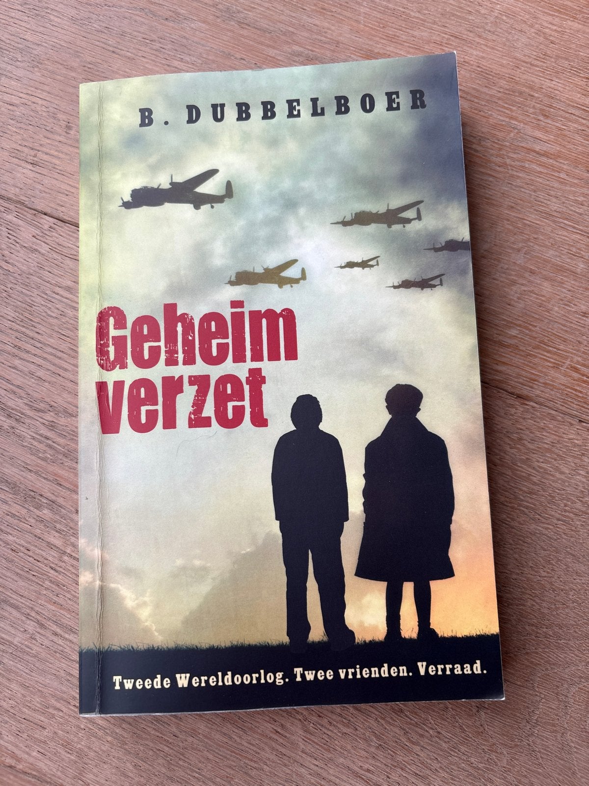 Geheim Verzet - B. Dubbelboer (Zo goed als nieuw), Boeken, Ophalen of Verzenden, Zo goed als nieuw, Fictie