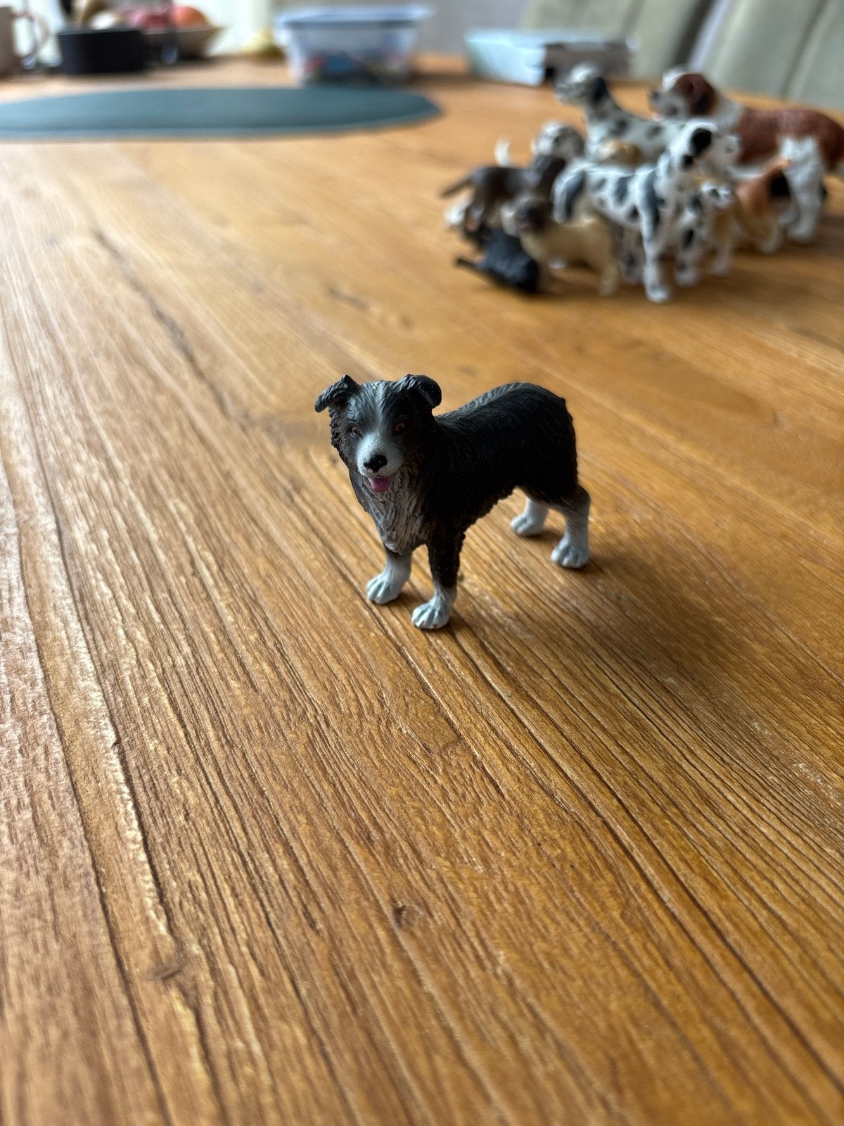 Schleich hond beeldje - Border Collie, Verzamelen, Ophalen of Verzenden, Zo goed als nieuw, Hond of Kat, Beeldje of Figuurtje