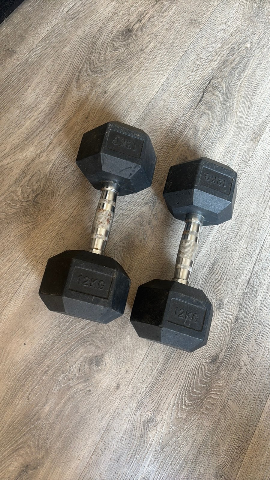 Dumbells 2x 12 kg, Ophalen, Zo goed als nieuw, Dumbbell