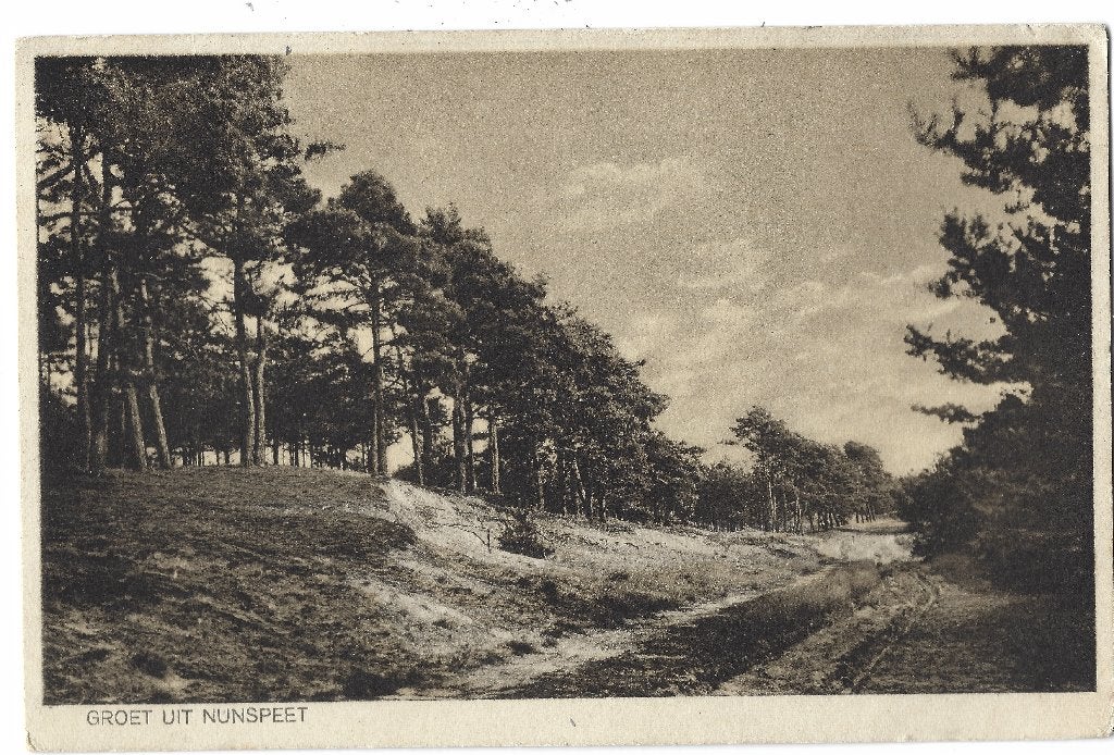 Nunspeet, Groet uit Nunspeet - Opruimingskaart, Ophalen of Verzenden, 1920 tot 1940, Gelopen, Gelderland