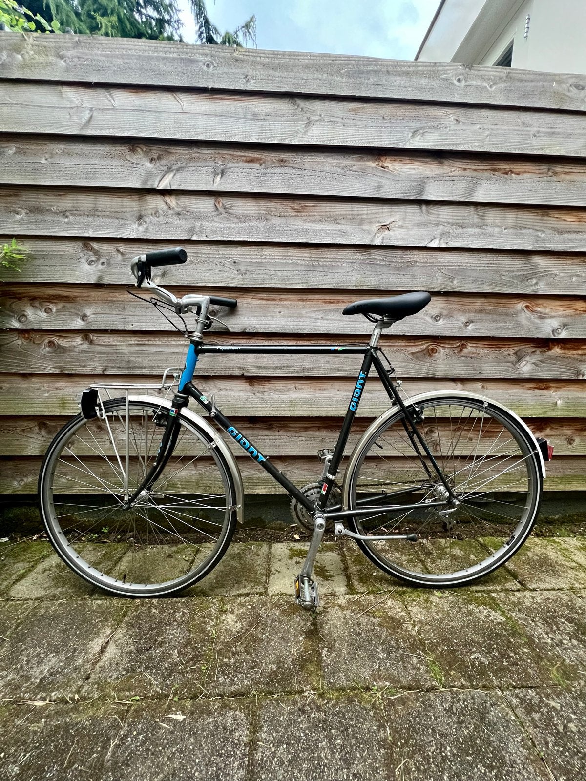 Giant fiets met gebogen derailleursteun, Ophalen, Gebruikt, Velgrem, Versnellingen