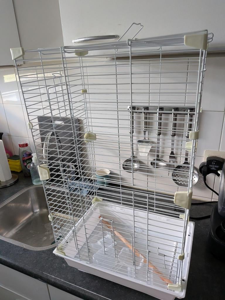 Kanarie kooi zonder kanaries. Dus geen vogels. Alleen kooi., Dieren en Toebehoren, Mannelijk, Kleurkanarie