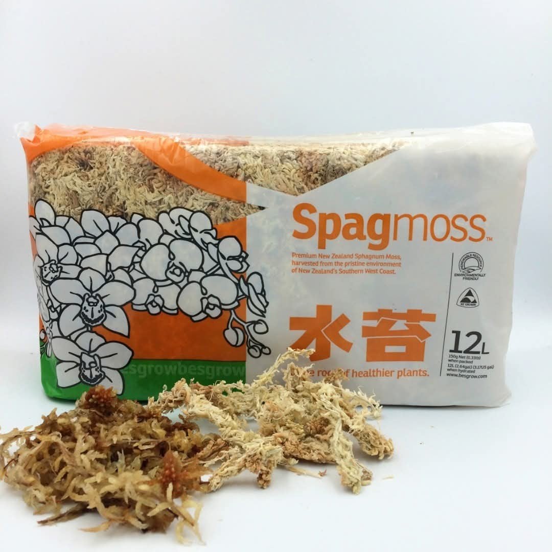 Spagmoss Premium Nieuw-Zeelands Sphagnum Mos 12L, Ophalen of Verzenden, Overige soorten, Volle zon
