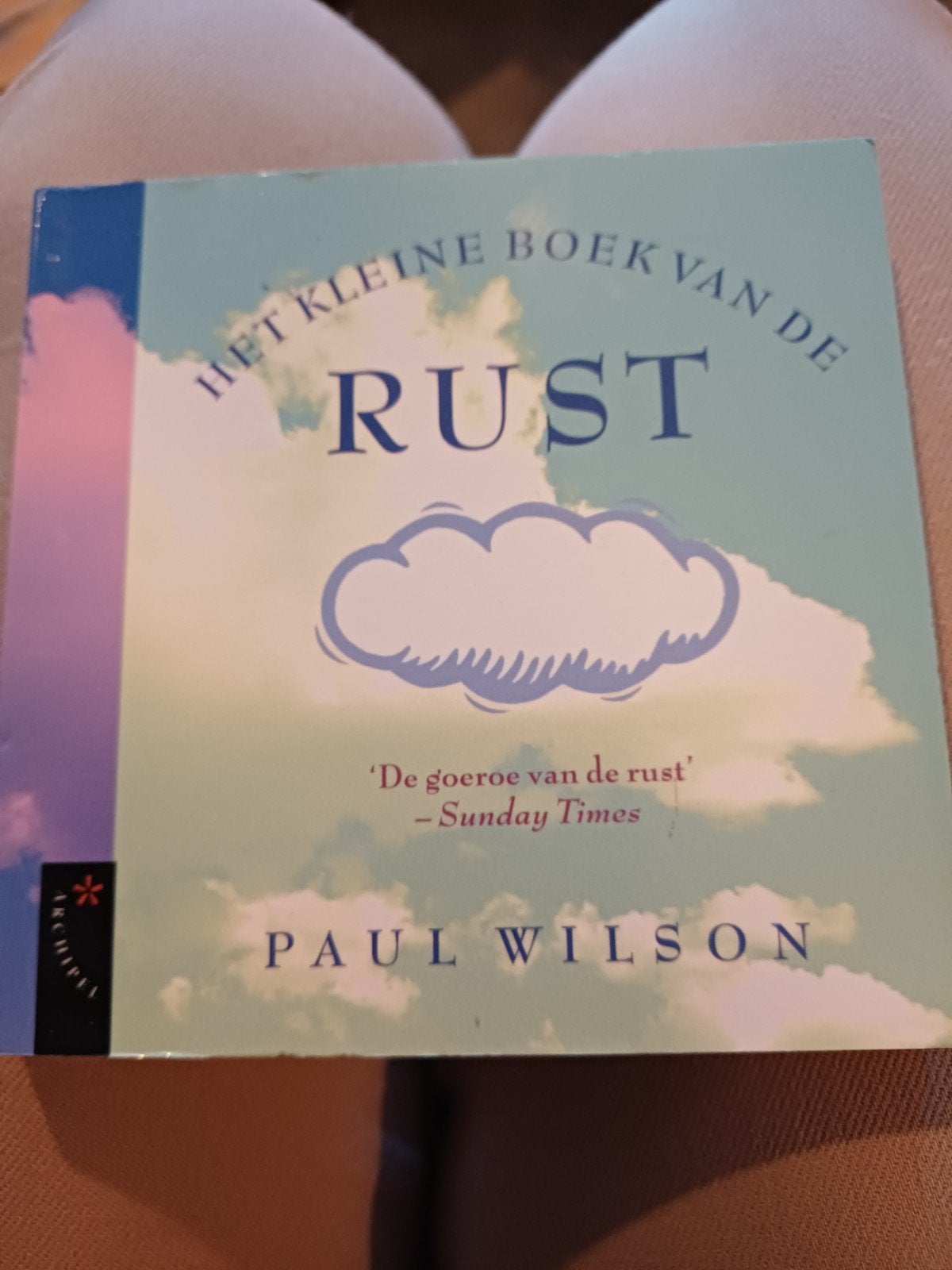 Het kleine boek van de RUST - Paul Wilson, Boeken, Paul Wilson, Ophalen of Verzenden, Zo goed als nieuw, Meditatie of Yoga