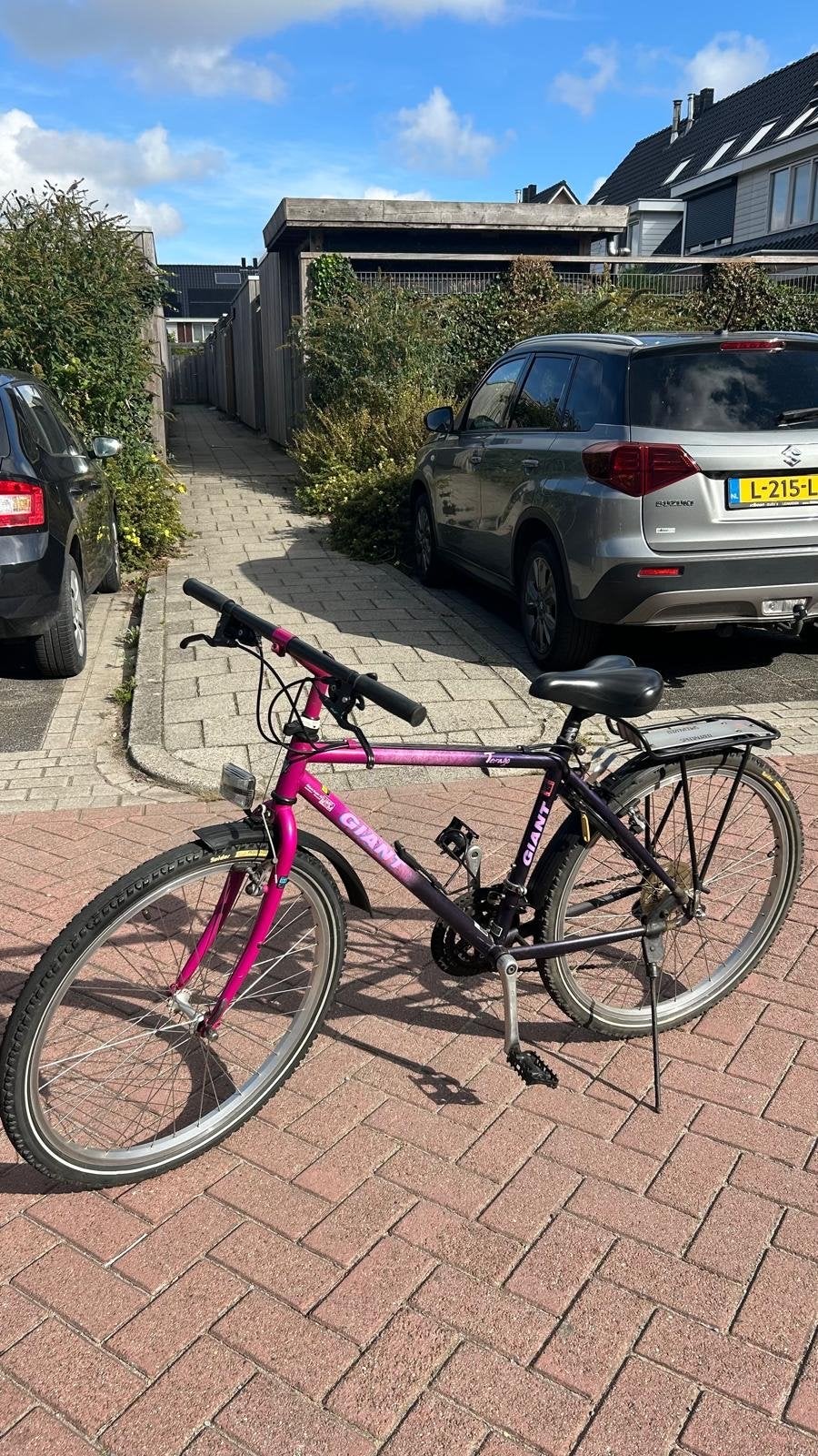Giant kinderfiets retro, Ophalen, Velgrem, Versnellingen, Giant