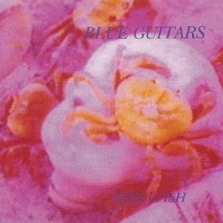 CD: Blue Guitars – Shellfish, Ophalen of Verzenden, Zo goed als nieuw, Poprock