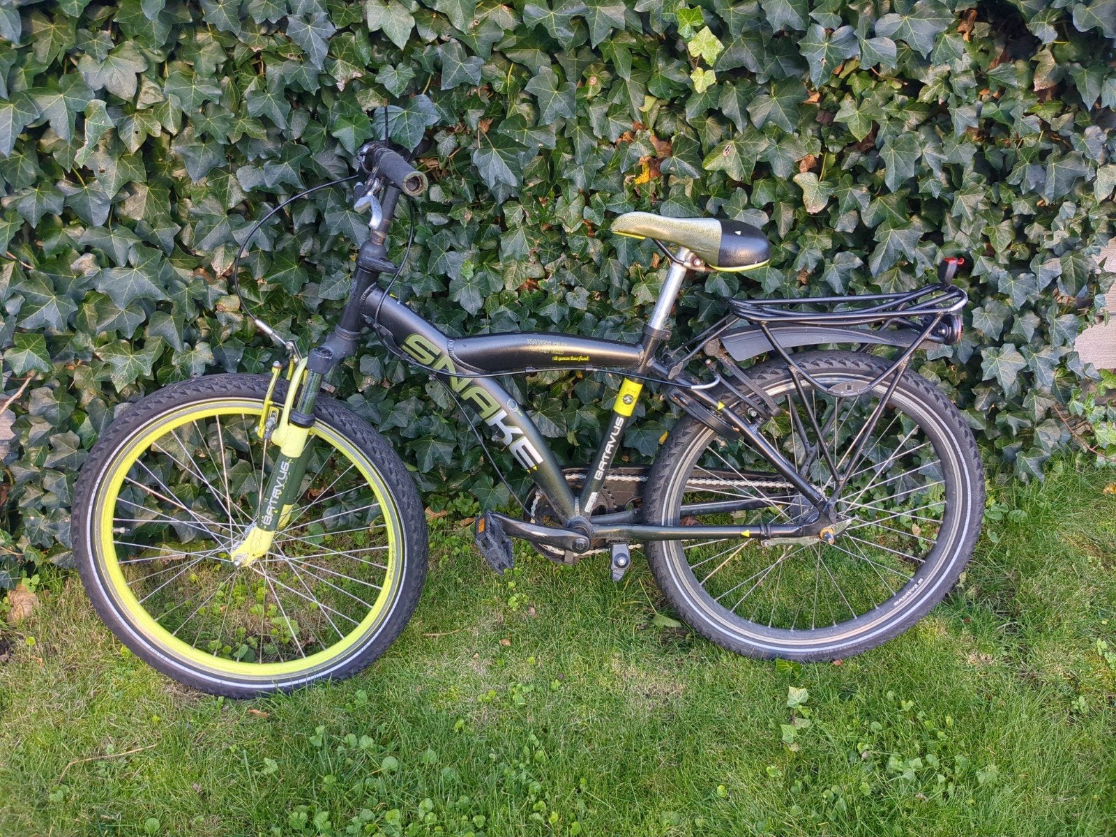 Batavia Snake, Ophalen, Gebruikt, 24 inch, Batavus Snake