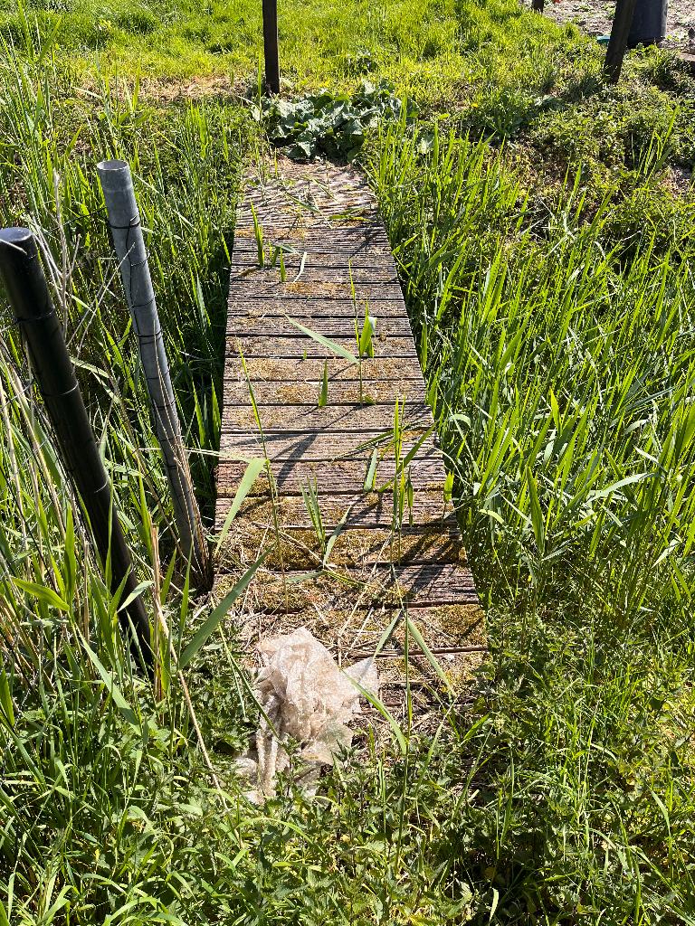 Bruggetje, Ophalen, Gebruikt