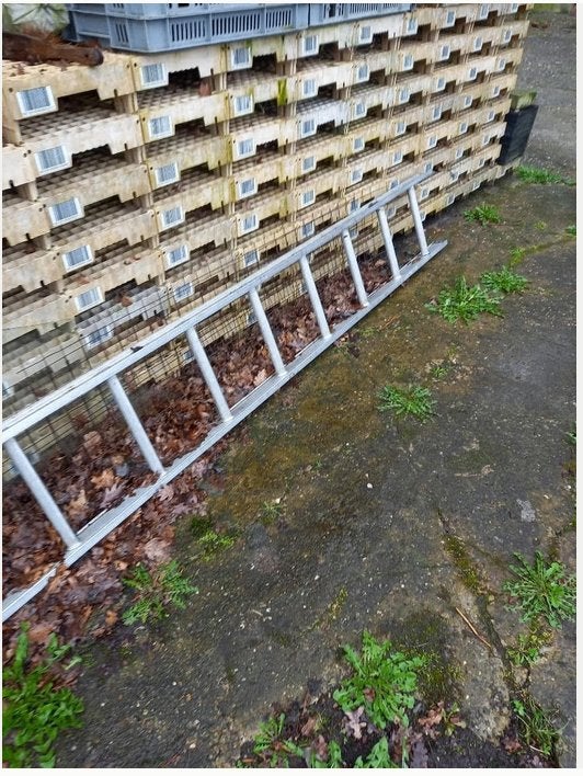 Stekbakken, Gebruikt, Overige materialen, Kweekkas, Ophalen of Verzenden
