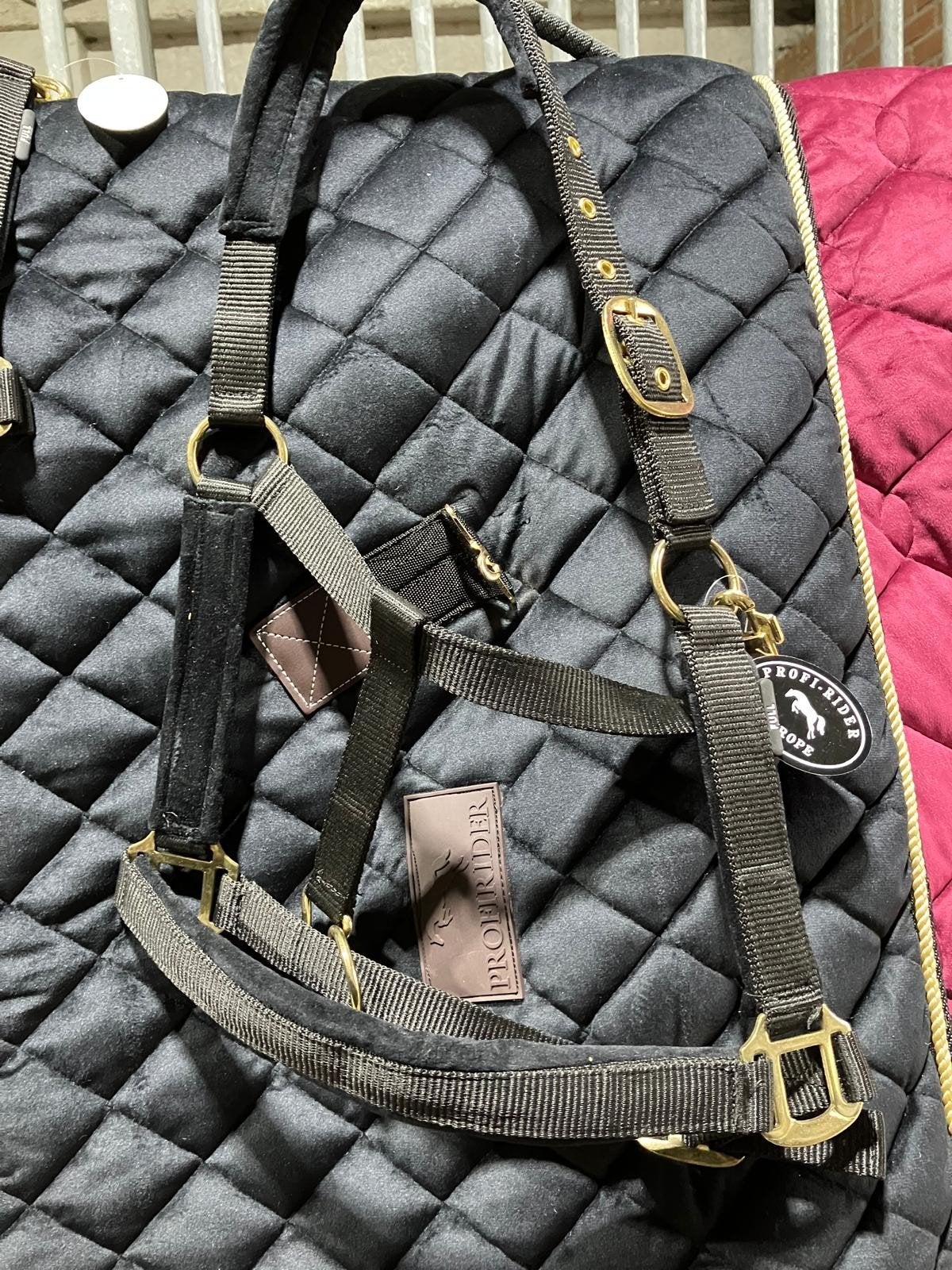 Nwe Profi-Rider velvet halster, maat full, Nieuw, Ophalen of Verzenden, Zwart, Halster