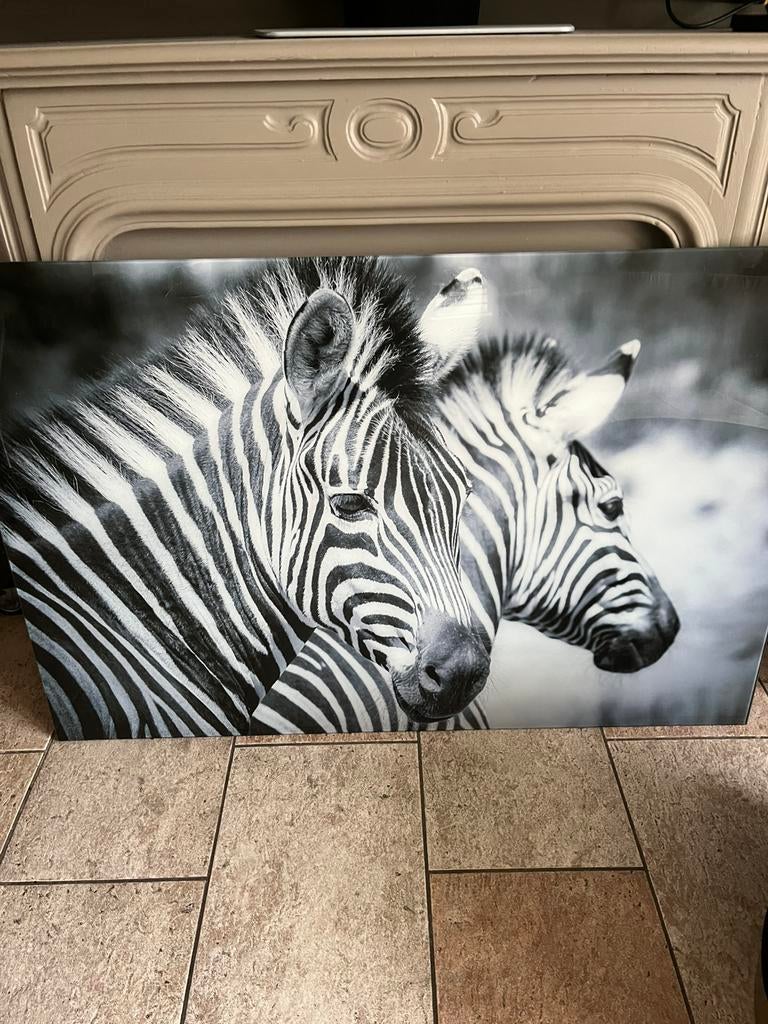 Glasschilderij groot, Ophalen, Zo goed als nieuw, Schilderij, 75 cm of meer
