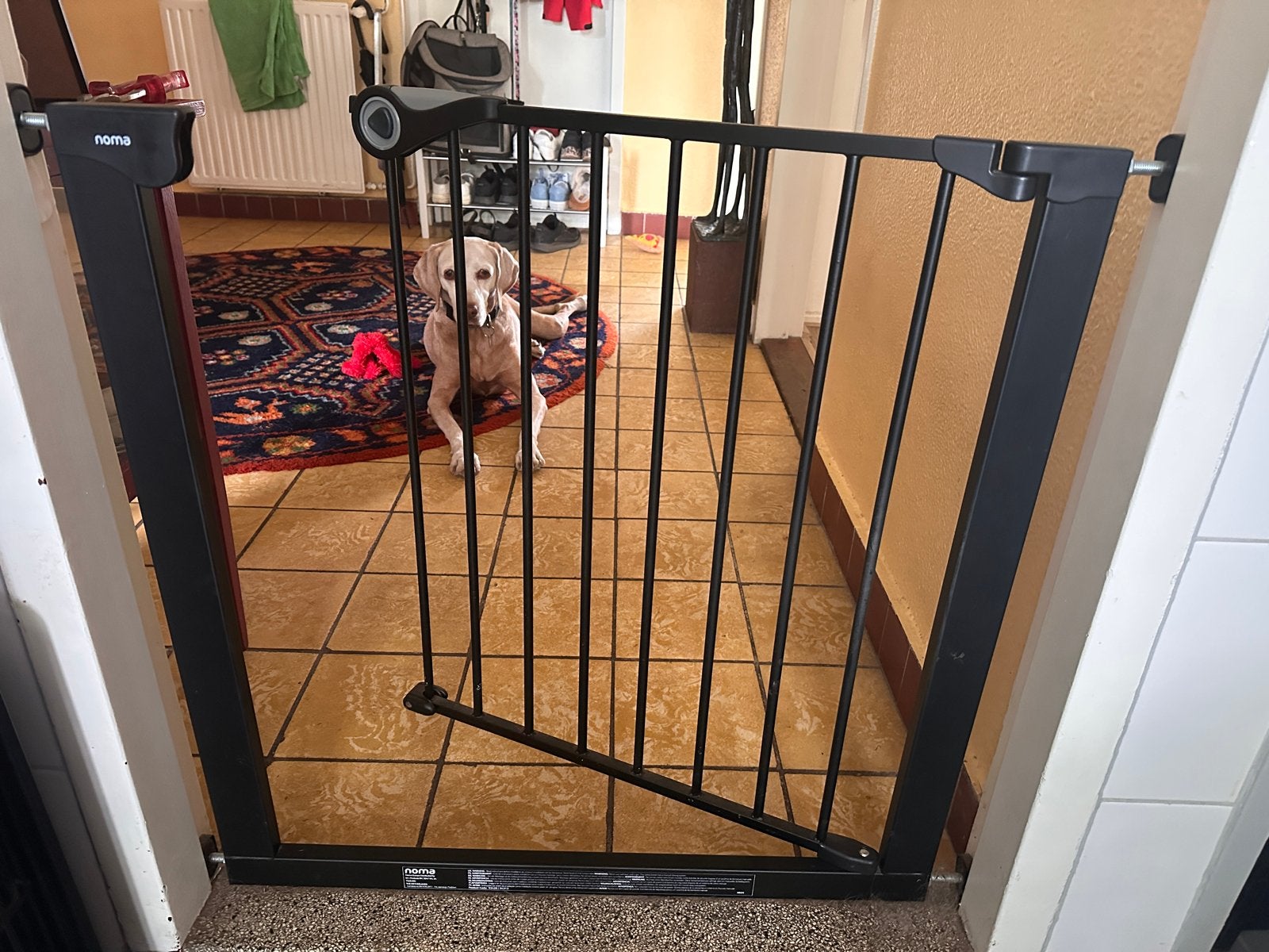 Noma Klemhekje - Veiligheidshekje voor Kinderen/Honden, Ophalen, Gebruikt, Klemhekje, Metaal of IJzer