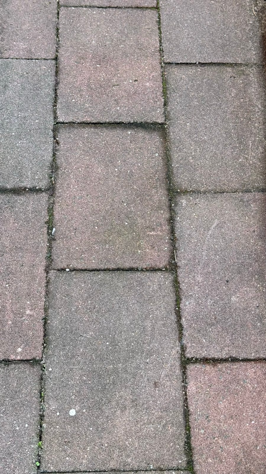 7 m2 gebruikte terrastegels van beton, Ophalen, Gebruikt, Minder dan 5 m², Beton