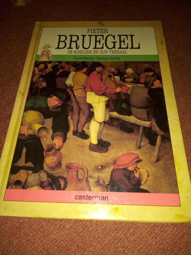 Pieter Bruegel: De Schilder en Zijn Verhaal - Kunstboek, Verzenden, Gelezen, Schilder- en Tekenkunst, Pierre Sterckx, Claudine Roucha