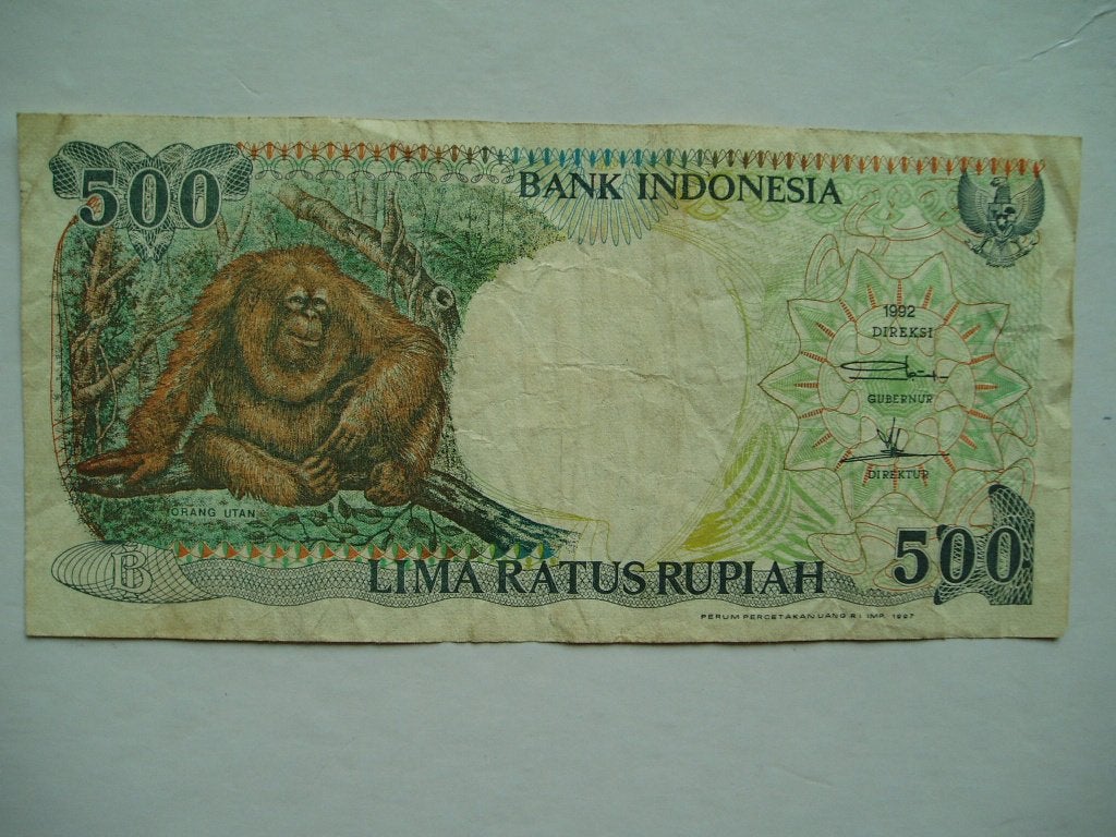 916. Indonesia, 500 rupiah 1992(1997) Orang Oetan., Verzenden, Zuidoost-Azië, Los biljet