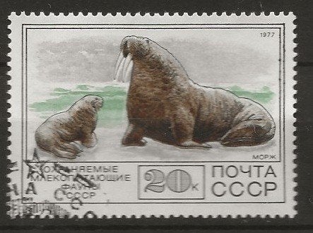 Rusland 7, walrus, Verzenden, Gestempeld