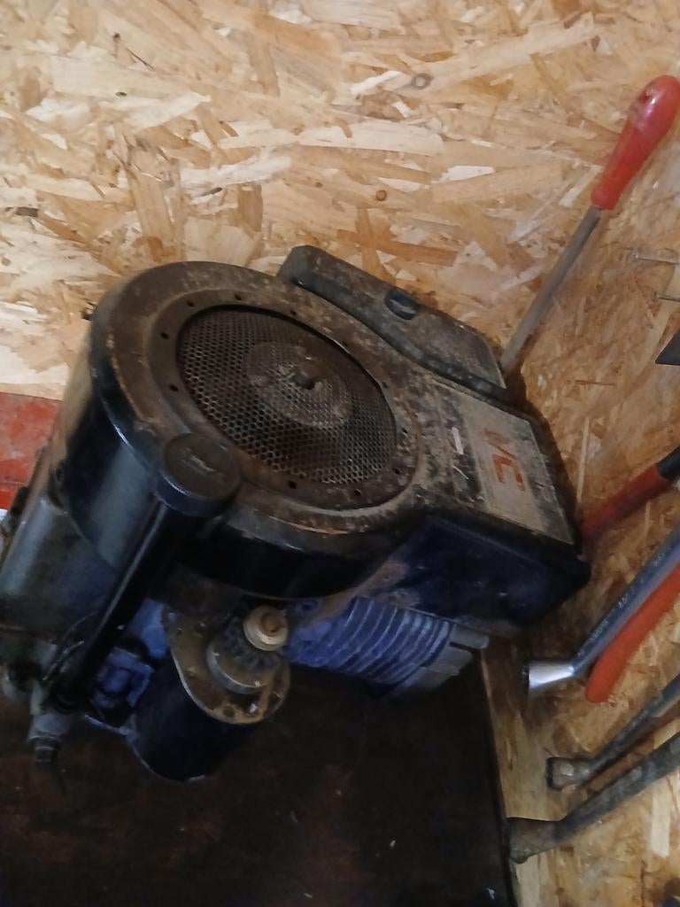 B&s 12.5 pk motor opknapper, Dieren en Toebehoren, Reptielen en Amfibieën, Overige soorten