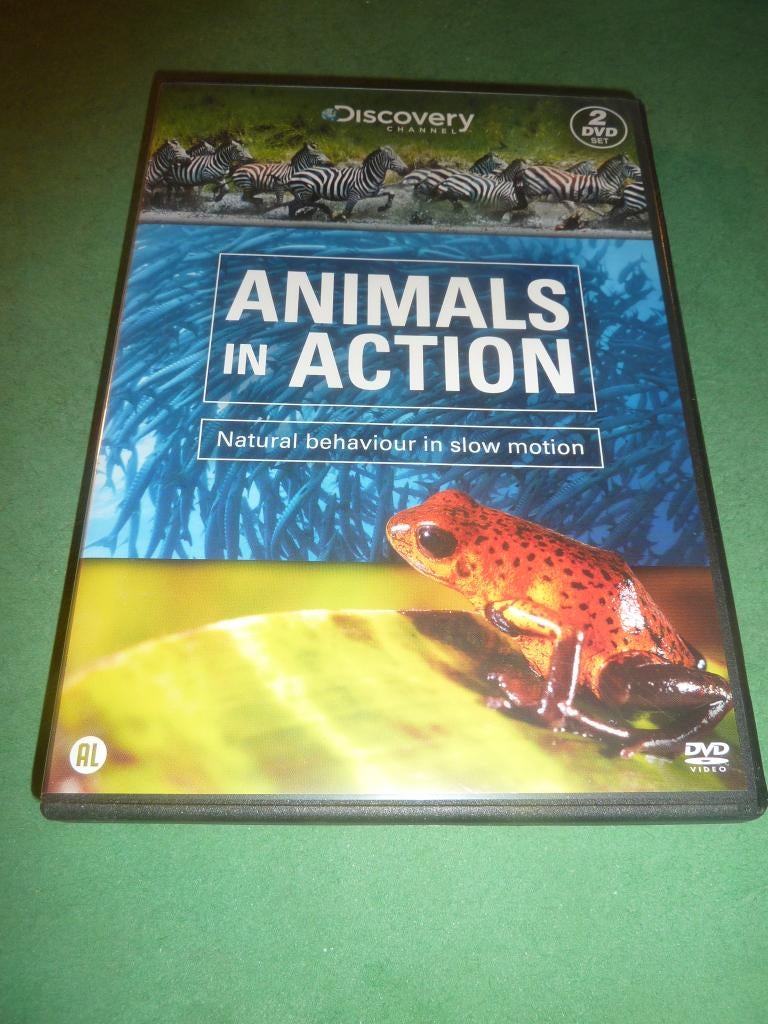 Animals in action   Dubel-dvd, Alle leeftijden, Verzenden, Zo goed als nieuw, Natuur