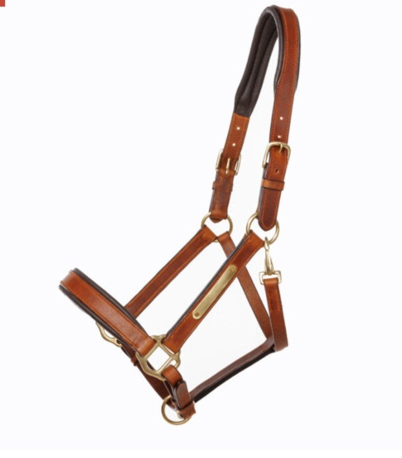 nieuw leren halster cognac, Dieren en Toebehoren, Ophalen of Verzenden