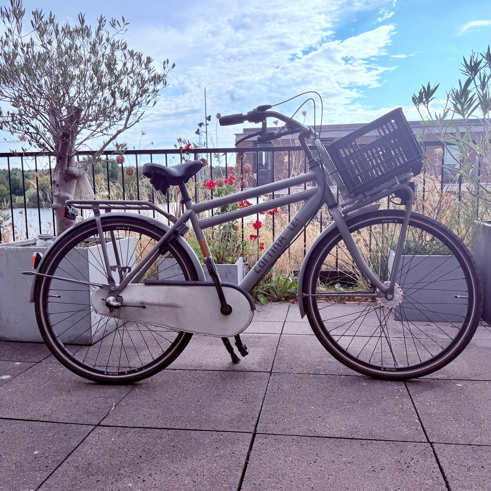 Cortina U4 Transportfiets - Grijs - 3 versnellingen, Ophalen, Gebruikt, Versnellingen