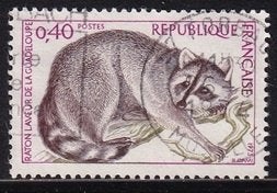 4910 - Frankrijk michel 1843 gestempeld , Wasbeer uit Guadel, Verzenden, Gestempeld