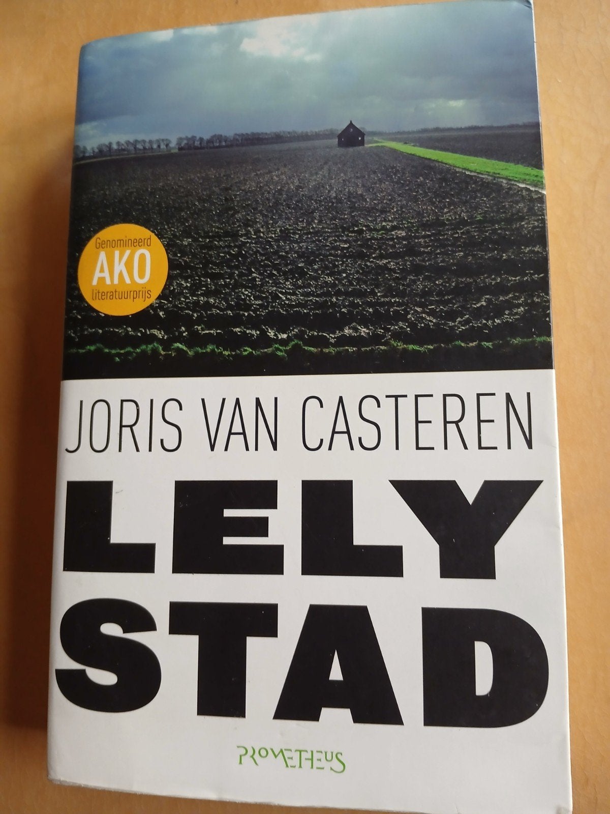 Joris van Casteren - Lelystad, Boeken, Overige Boeken, Zo goed als nieuw, Ophalen of Verzenden