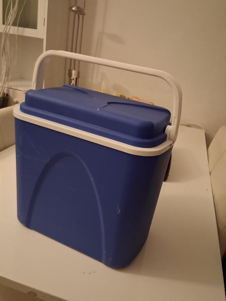 Te koop, koelbox, Ophalen, Koelelement