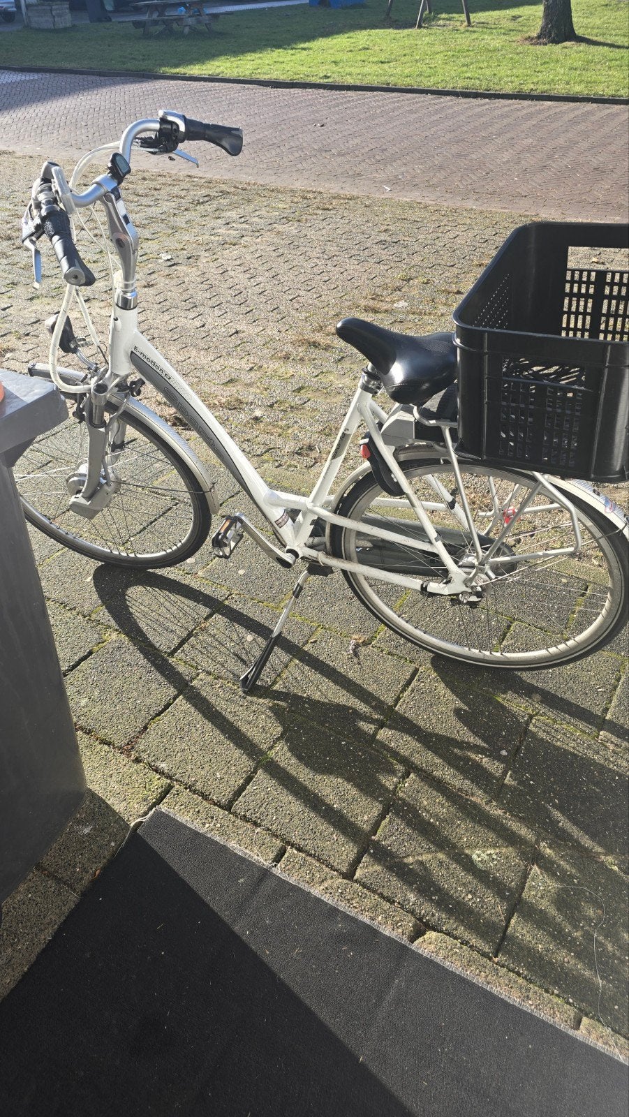elektrische fiets, Ophalen of Verzenden, Gebruikt, Overige merken