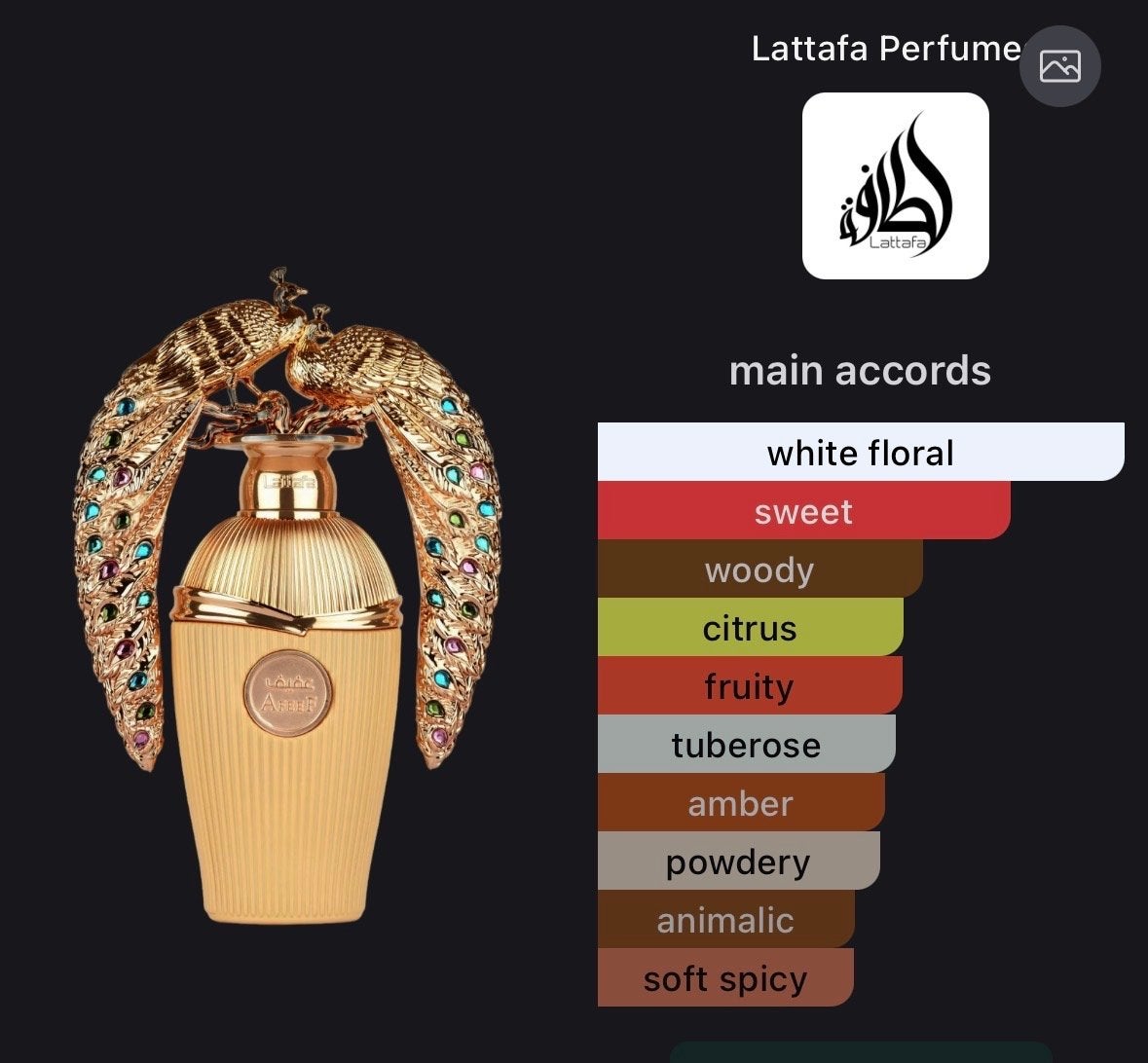 Lattafa Afeef parfum - Gebruikt, Ophalen, Gebruikt