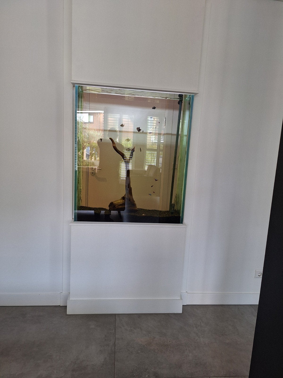 doorkijk aquarium compleet, Ophalen, Zo goed als nieuw, Gevuld zoetwateraquarium