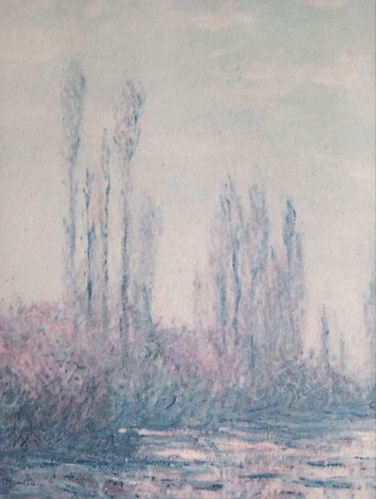 Claude Monet print Landschap, Ophalen of Verzenden