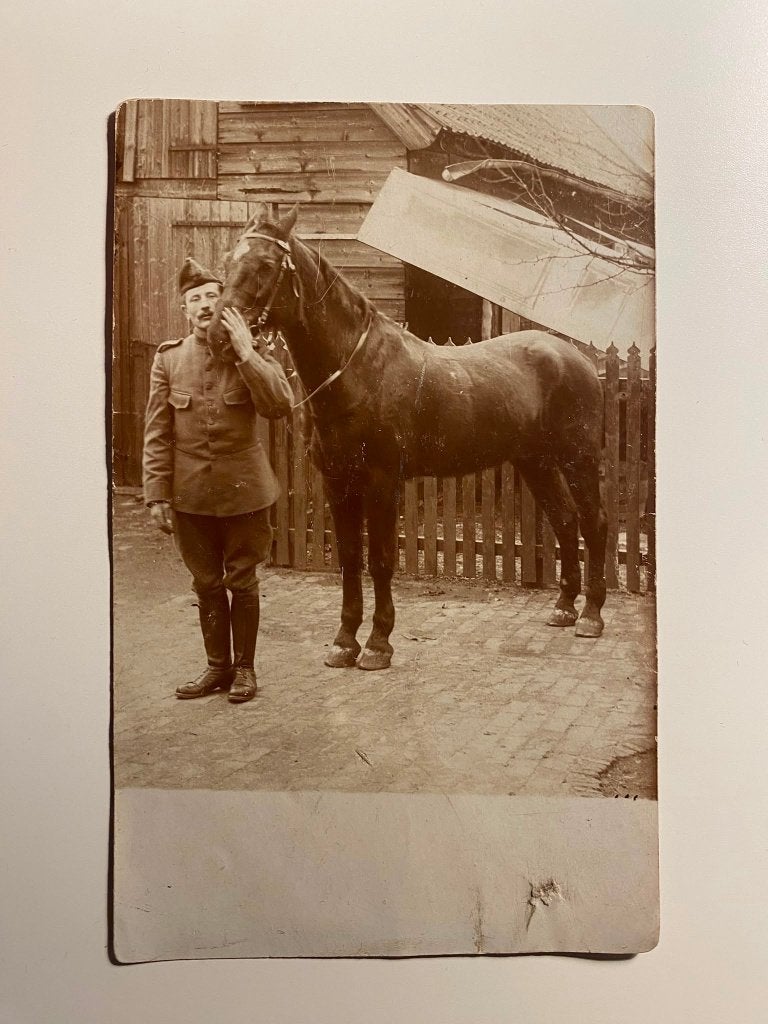 Originele WO1 Foto – Nederlandse Soldaat Cavalerie met Paard, Verzamelen, Ophalen of Verzenden, Nederland, Foto of Poster