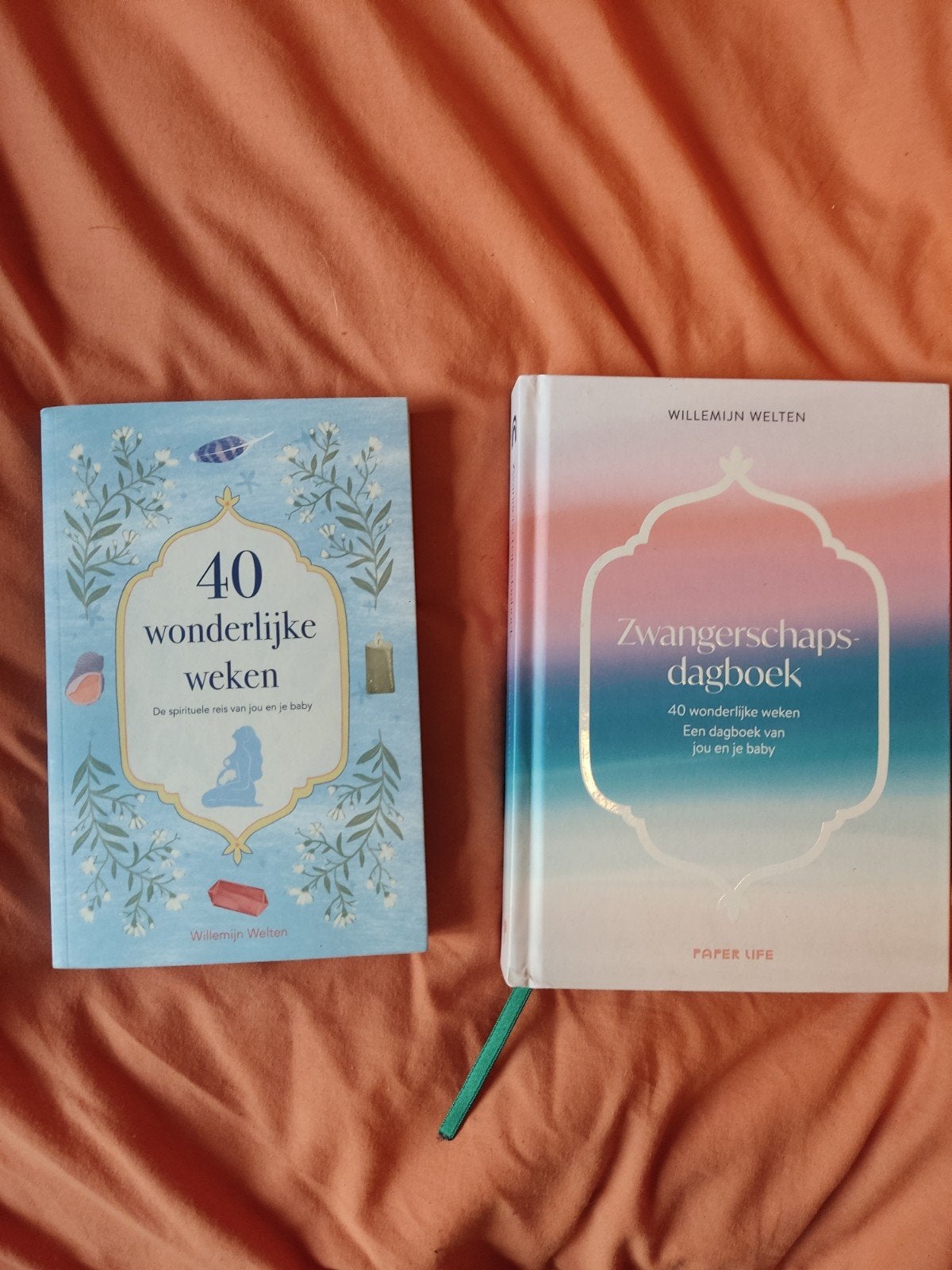 Willemijn Welten - Zwangerschapsdagboek, Ophalen of Verzenden, Zo goed als nieuw, Willemijn Welten